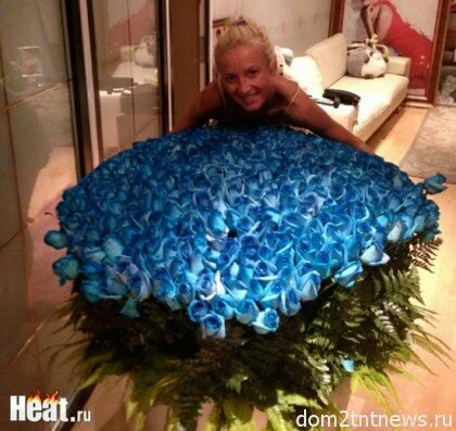 Дмитрий подарил Оле 1001 синюю розу